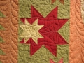 Feathered Star Quilting Detail_kma